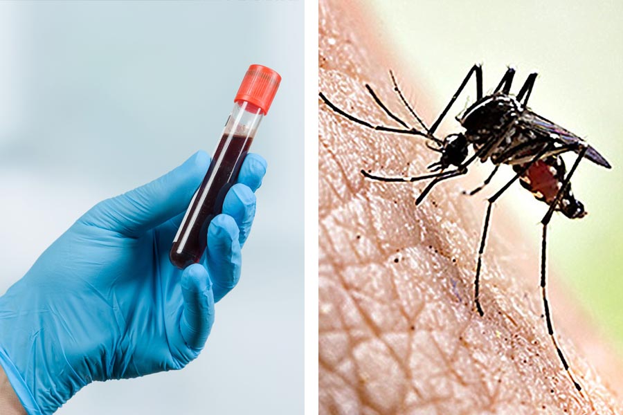 Several hospitals sealed after treating fever as dengue