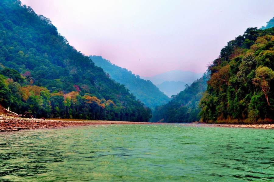 বিভিন্ন প্রজাতির পাখি ও অবিশ্বাস্য সুন্দর নানান প্রজাপতি দেখতে পাবেন। নামদাফা ন্যাশনাল পার্কের অন্য দুই আকর্ষণ বিভিন্ন প্রজাতির অর্কিড এবং অপূর্ব সুন্দর অজানা কয়েকটা ঝর্ণা।