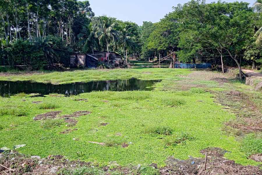 এই বলদেঘাটা খাল সংস্কার নিয়েই উঠেছিল বিতর্ক। ছবি: নির্মাল্য প্রামাণিক।