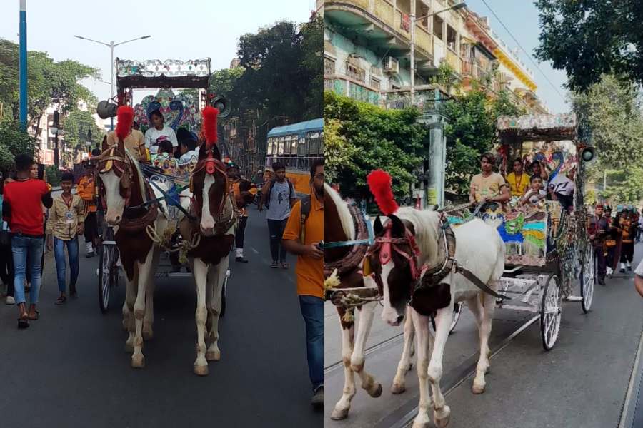 পরের দিন সকালে ঘড়ি ধরে ৭টা ২৬ মিনিটের পরে শুরু হয় প্রতিমা নিয়ে মণ্ডপের দিকে যাত্রা। বিশাল শোভাযাত্রার মাধ্যমে মাতৃমূর্তিকে নিয়ে আসা হয় মণ্ডপে। প্রথা মেনে শোভাযাত্রার সামনে ছিল এক সুসজ্জিত ঘোড়ার গাড়ি। সেখানে ছিল সানাই বাদক।  তার পর ব্যান্ড বাদকের দল। 