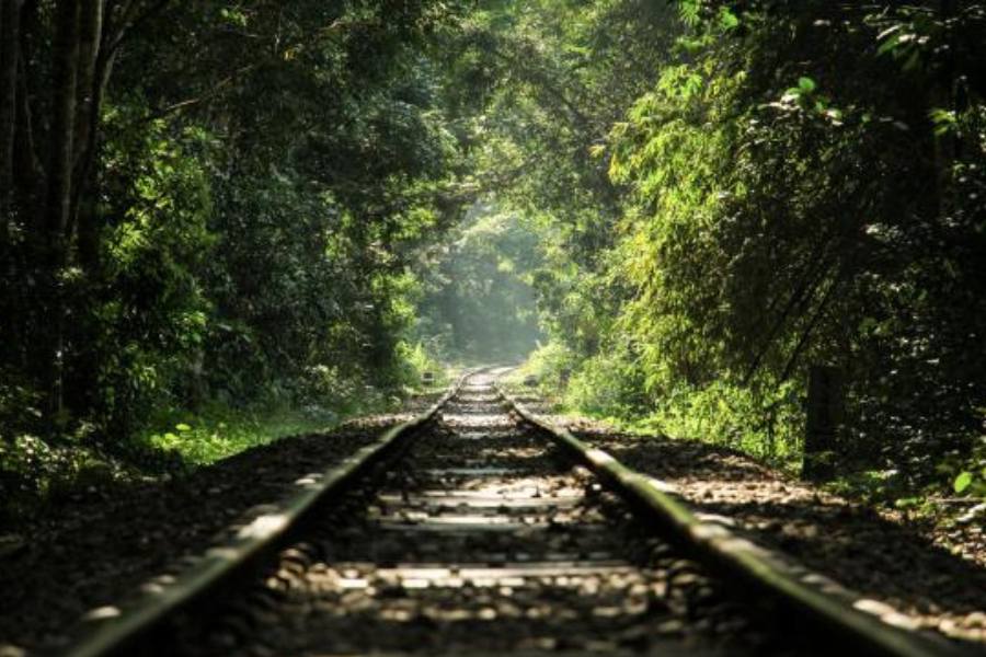 ৫. লাউয়াছড়া জাতীয় উদ্যান,  মৌলভীবাজার - ১ হাজার ২৫০ হেক্টর আয়তনের সুবিশাল এই সংরক্ষিত বনাঞ্চলের অবস্থান ওপার বাংলার মৌলভীবাজার জেলার কমলগঞ্জ ও শ্রীমঙ্গলের আংশিক নিয়ে। 'ট্রপিকাল রেইন ফরেস্ট' হিসেবে খ্যাত এই জাতীয় উদ্যান বিভিন্ন বিরল জীবের বৈচিত্র্যে ভরপুর। সবমিলিয়ে ৪৬০ রকম প্রজাতির দুর্লভ উদ্ভিদ,  ২০ রকম প্রজাতির স্তন্যপায়ী প্রাণী,  ৬ রকম প্রজাতির সরীসৃপ এবং ২৪০ রকম প্রজাতির পাখির বাসস্থান এখানে। বিশেষ করে বিলুপ্তপ্রায় উল্লুকের সবচেয়ে বড় বিচরণ এলাকা হিসেবে এই অরণ্যের সুখ্যাতি রয়েছে। বনের ভেতরে আছে তিন-তিনটে ট্রেইল। যে গুলি ট্রেকিং করার সময় কাছ থেকে দেখা যায় অরণ্যের অপার সৌন্দর্যকে। পৌঁছনোর ঠিকানা - ঢাকা থেকে ট্রেনে বা বাসে করে শ্রীমঙ্গল পৌঁছে লাউয়াছড়া জাতীয় উদ্যান ভ্রমণ করা যায়।