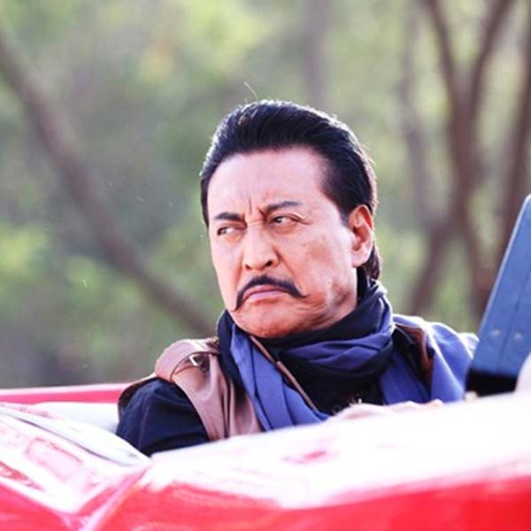 সত্তর থেকে আশির দশকের মধ্যে একাধিক হিন্দি ছবিতে অভিনয় করতে দেখা যায় ড্যানিকে। অধিকাংশ ছবিই বাণিজ্যিক দিক দিয়ে সফল হয়। কিন্তু কোনও ছবিতেই মুখ্য অভিনেতা হিসাবে দেখা যায়নি ড্যানিকে।