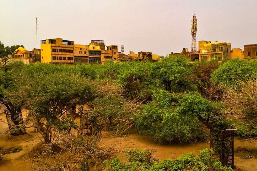 সেই দিকে ছুটে চললেন সকলে। ওই যে কুঞ্জবনের মাঝে দেখা যায় আলো। তারপর? আয়ান এ কী দেখলেন?  আয়ানের হাত থেকে খসে পড়ল অস্ত্র। চোখ দিয়ে অঝোরে নেমে এল অশ্রুধারা। পশ্চাতে জটিলা এবং কুটিলা তখনও কথা বলে চলেছে। কিন্তু সে চিত্রার্পিতের ন্যায় স্থির।  ভক্তির আবেশে চোখ বুজে আসে আয়ানের, তার ইষ্ট দেবী,  পরমা শক্তি 'মা কালিকা',  তাঁর সামনে! 