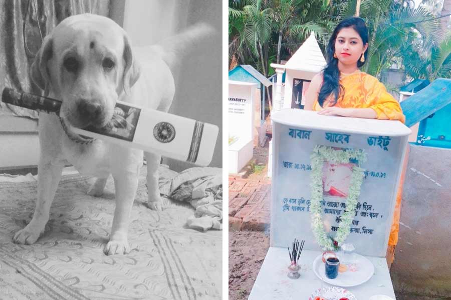 Lisa Dutta of Kolkata helps wounded street dogs to heal her own wound