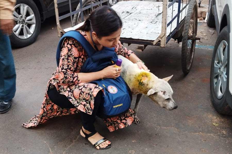 Lisa Dutta of Kolkata helps wounded street dogs to heal her own wound