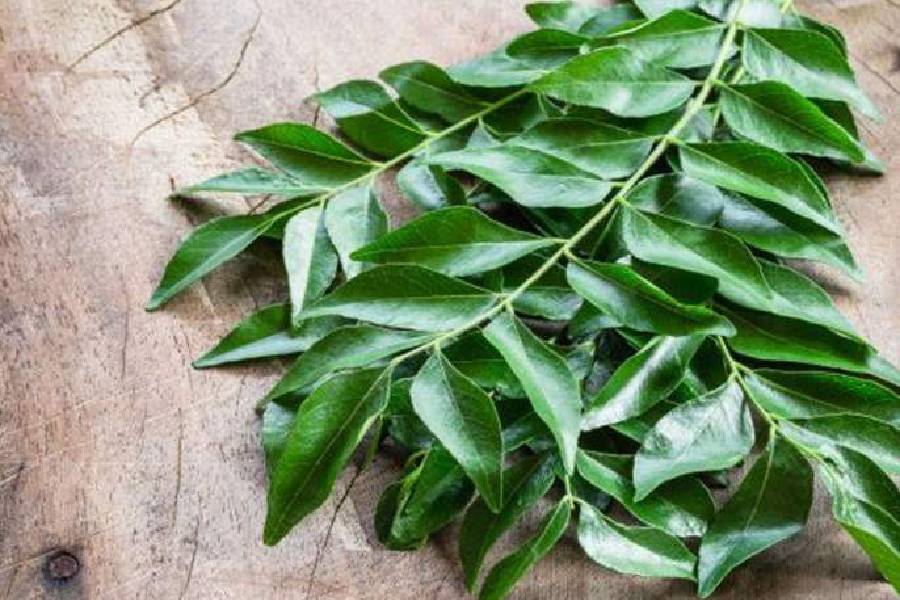 Four ways how curry leaves can help control high blood pressure.