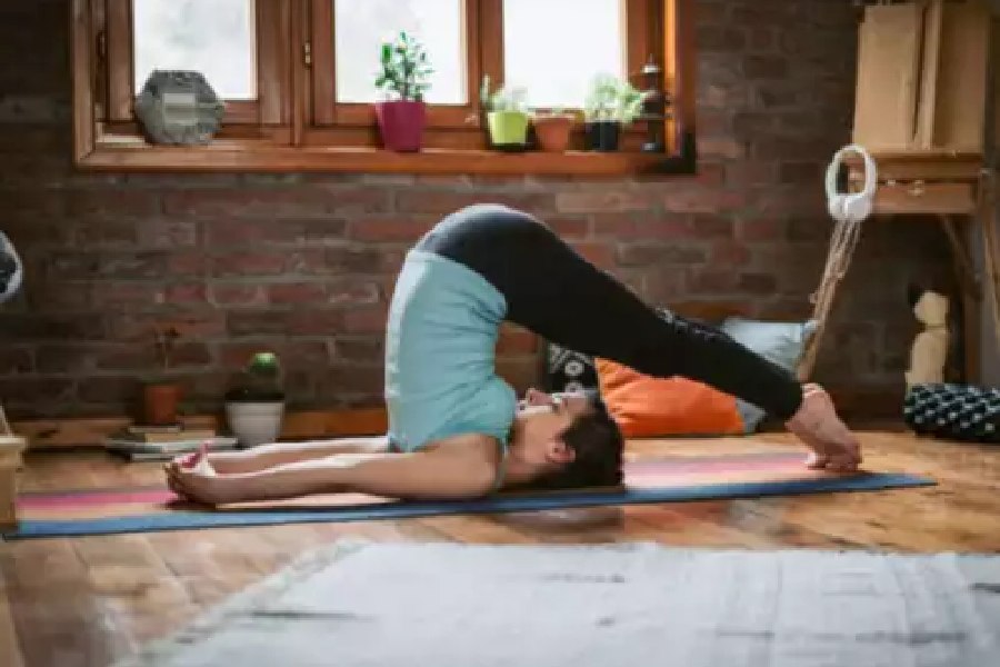 Image of Halasana
