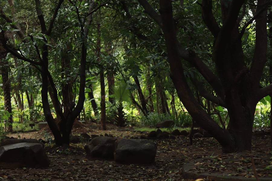 চতুর্দিক থেকে ঘিরে নিচ্ছে শিয়ালের রব। ভীতিকর রাত্রি-আওয়াজ। পেঁচার ক্ষুধার্ত ফ্যাঁসফ্যাঁস। এত রাতে এ বনে মানুষ আসে না! তারা ক্ষুধার্ত এবং বিরক্ত। সব কিছু উপেক্ষা করে চললেন বটকৃষ্ণ।  