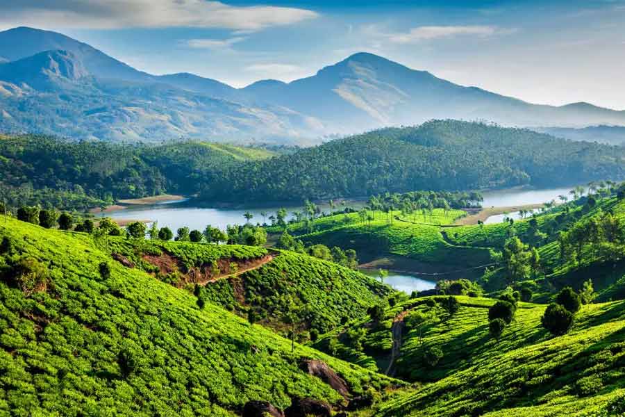 কোভালামে নিজেদের একটি হোটেল রয়েছে মোরো এবং মারিনার। ঠিক করেন, নিজেদের ভালবাসার দেশেই থেকে যাবেন। মোরো জানান, ভারতকে ভাল না বাসাটাই তাঁদের কাছে অস্বাভাবিক।