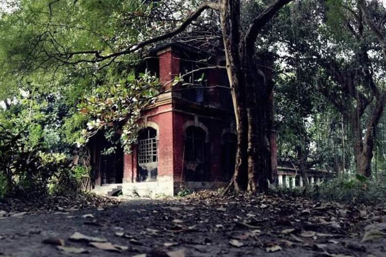 জানেন কি, পৃথিবীর অনেক বিশিষ্ট শহরের মতো কলকাতাতেও 'ঘোস্ট ট্যুরিজম' ওরফে ভূতের জায়গা ঘুরিয়ে দেখানোর ব্যবস্থা আছে? তা আবার সরকারিও! তার খোঁজও এই প্রতিবেদনের সব শেষে পাবেন। আপাতত সন্ধান করা যাক, কলকাতার সবচেয়ে গা-ছমছমে এক ডজন 'ভূতের আস্তানা'র। 