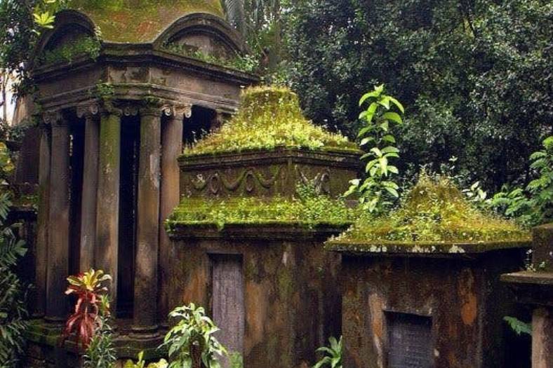 ভূত মানুন আর না মানুন, ভূত-প্রেতের প্রতি আগ্রহ কিন্তু আপনার-আমার, সবার চিরকালীন। আবার কালীপুজোর সঙ্গে ভূতপ্রেতের সম্পর্ক কি অস্বীকার করা যায়? কলকাতায় 'ভূত' দেখার উৎসাহী পর্যটকদের সংখ্যা দিনকে দিন বাড়ছে। এখানকার বিশেষ করে ১২টা রহস্যময় স্থান ঘুরে দেখার ব্যবস্থাও আছে, সরকারি মদতে। একে একে জায়গা গুলি বলা যাক। 