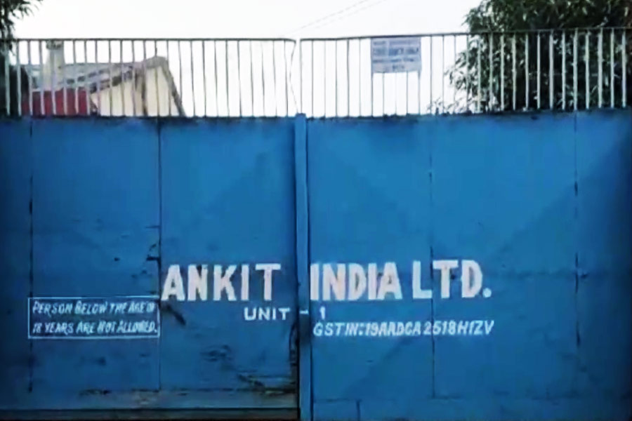 ইডির একটি সূত্রের দাবি, এই অঙ্কিত ইন্ডিয়া লিমিটেডের দুই ডিরেক্টর দীপেশ এবং হিতেশ ১৯৯৬ সালে বিহারের পশু খাদ্য দুর্নীতি মামলার প্রধান অভিযুক্ত হিসেবে সিবিআইয়ের হাতে গ্রেফতার হয়েছিলেন। পরে ওই মামলায় রাজসাক্ষী হয়ে তাঁরা ছাড়া পেয়ে যান। দীপেশই বয়ান দেন যে, তিনি লালুপ্রসাদ যাদবকে ৬০ কোটি টাকা দিয়েছিলেন। 