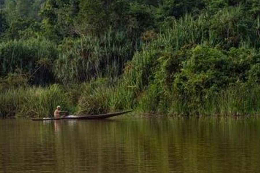 মায়ের প্রতিষ্ঠা নিয়ে একটি শতাধিক বৎসরের পুরাতন ভাষ্য পাওয়া যায়।  কালিকাপুরের অদূরে কুমরি নদী (অধুনা শীর্ণ কুমরির বিল) তীরে কুমরি গ্রাম। এই গ্রামেরই এক ব্রাহ্মণ স্বপ্নাদেশ পান কুমরি নদী থেকে মূর্তি তুলে এনে প্রতিষ্ঠা করার জন্য। কিন্তু তিনি বিষয়টি গোপন রাখেন। তাই অবিশ্বাসীকে মা ধরাও দেননি।