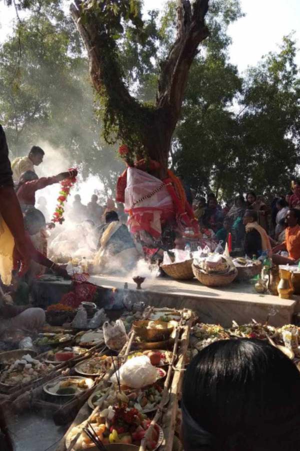 কালিকাপুরে এক দরিদ্র ব্রাহ্মণ এবার একই স্বপ্নাদিষ্ট হন। তিনি দ্বিধা করেননি। নদীতে নামেন এবং ওই অপরূপা মূর্তি পান। মা’কে নিজ গ্রামে প্রতিষ্ঠা করেন। সেই কাল হতেই ওই মূর্তি পুজো চলে আসছে। 