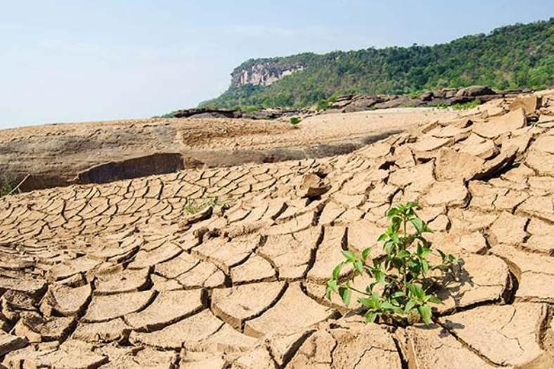 একবার খরার সময় গ্রাম তখন শুষ্ক। তখন কোনওভাবে গ্রামে আগুন লেগে যায়। এবং শুকনো ঘাসের সে আগুন ভয়াবহ অগ্নিকাণ্ডের রূপ নেয়। পুকুর, বিল সব শুষ্ক, জলহীন। কিছুতেই আগুন নেভানো যায় না। শুকনো খটখটে ঘর, বাড়ি, গাছপালা শুধু জ্বলতে থাকে। 