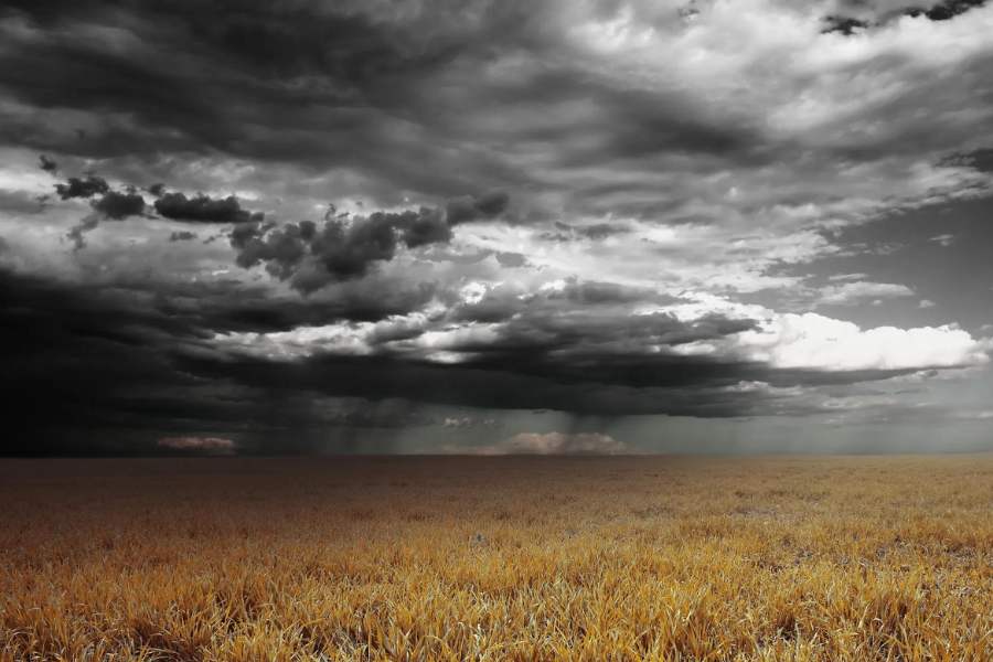 এমন সময় গ্রামের বাইরের ধানের জমির আল ধরে এক বাচ্চা মেয়েকে হেঁটে আসতে দেখা যায়। এক বুড়ো তাকে জিজ্ঞাসা করেন, ‘‘কোথায় যাচ্ছো মা?  ওই গ্রামে আগুন লেগেছে, যেয়ো না। বিপদ হবে।“ বাচ্চা মেয়েটি উত্তর দেয়, ‘‘আমার কালিকাপুর পুড়ে যাচ্ছে, আর আমি যাব না?’’ মুহূর্তেই বজ্রগর্ভ মেঘের সঞ্চার হয় এবং ভীষণ বৃষ্টি নামে। সেই জলেই আগুন নেভে। শুষ্ক গ্রাম সজল হয়ে ওঠে। পুকুর জলে ভরে। চাষ শুরু হয়। অভুক্ত চাষীদের পেটের আগুনও নেভে তাতে।