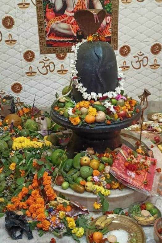 মায়ের প্রতি অগাধ বিশ্বাস এলাকার বাসিন্দাদের। কালিকাপুরে এই কালী মা ছাড়া অন্য কোনও কালীপুজো হয় না। এমনকি পাশের গ্রাম থেকে কোনও কালীর বিসর্জন শোভাযাত্রাও ঢোকে না কালিকাপুরে। কুমরি গ্রামের বাসিন্দারাও এই দেবী ছাড়া অন্য কালীর আরাধনা করেন না। 