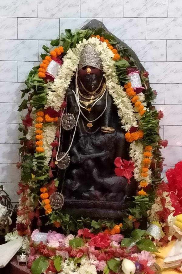 কালিকাপুরে দীপান্বিতা অমাবস্যায় এবং মাঘ মাসে কুমরি গ্রামে দেবীর বিশেষ পুজোপাঠ হয়। কালীপুজো ছাড়াও সব পুজোতেই বিশেষ পুজো পাঠ হয় কালিকাপুরের কালী মন্দিরে। তবে, দীপান্বিতা অমাবস্যা বাৎসরিক পূজা হলেও বলি হয় না। মানসিক বলি হয়, অন্যান্য তিথিতে।