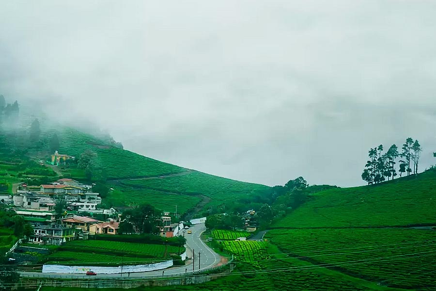 Five best honeymoon destination in South India for upcoming wedding season.