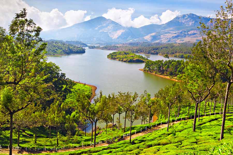 Five best honeymoon destination in South India for upcoming wedding season.