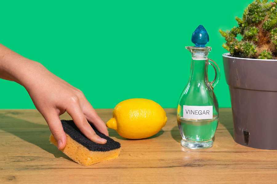 Five reasons why you should have a bottle of vinegar at home.