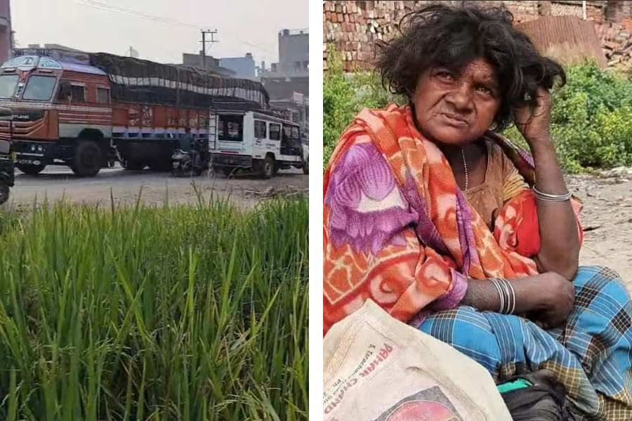 Mentally disturbed woman cultivated paddy in a national highway in Murshidabad