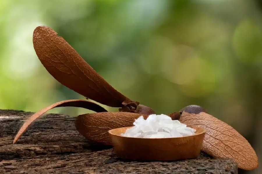 Five surprising benefits of camphor for your hair, skin and overall health.