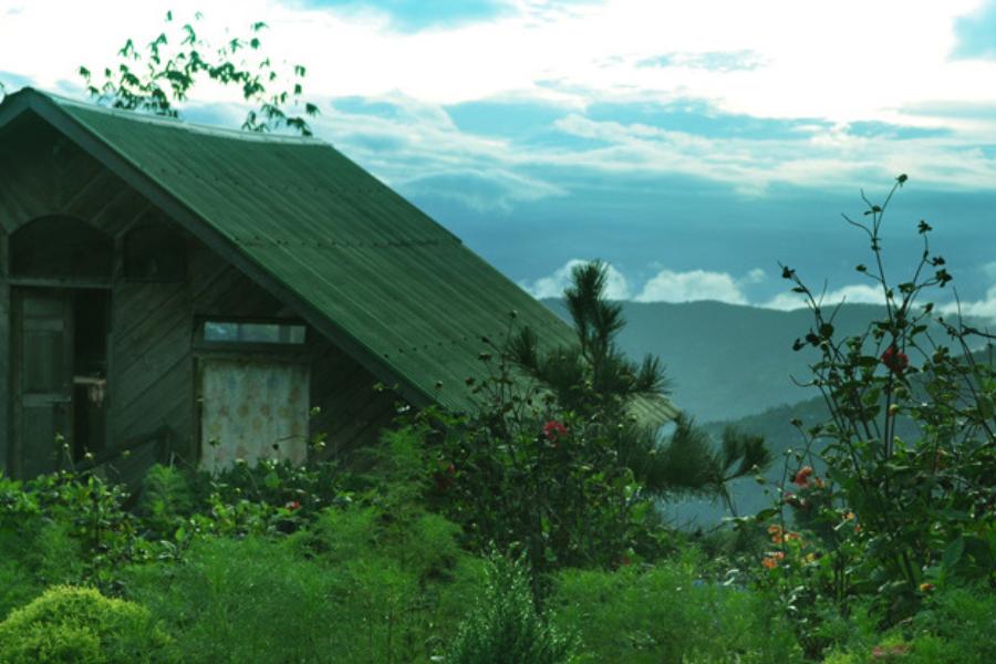 শান্ত, নিরিবিলি ঝান্ডির প্রধান আকর্ষণ সমুদ্রপৃষ্ঠ থেকে ৬০০০ ফুট উঁচু এই পর্যটন স্থান থেকে দেখতে পাওয়া অপরূপ কাঞ্চনজঙ্ঘা এবং একই সঙ্গে সমতলে বিস্মৃত ডুয়ার্সের ঘন সবুজ জঙ্গল ও তার মাঝ দিয়ে বয়ে চলা মহানন্দা নদীর আঁকাবাঁকা পথ। 