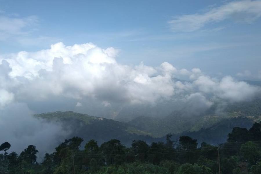 থাকার জায়গা - একাধিক রেস্তোরাঁ, হোম-স্টে আছে।