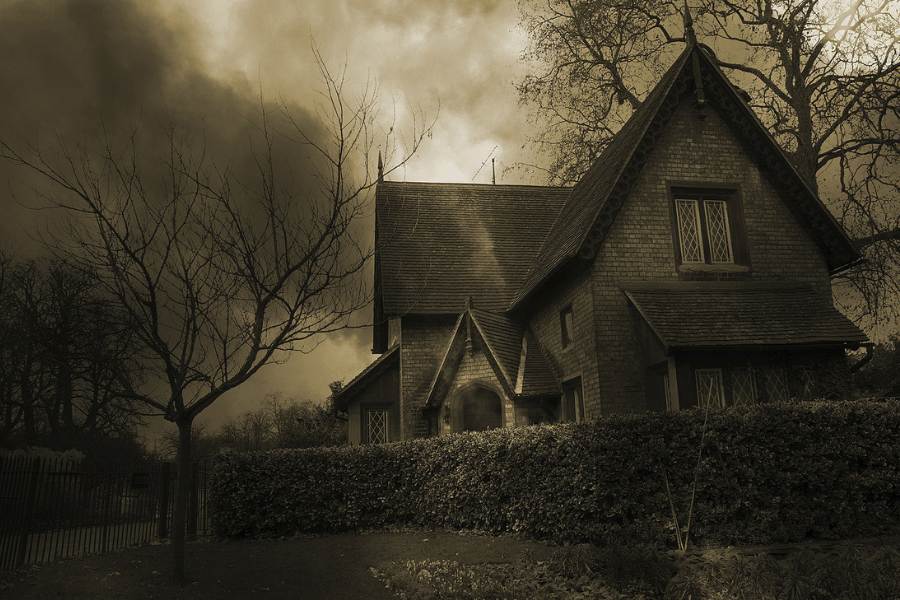 হলিউডের ১০টা সাম্প্রতিক ভয়ের সিনেমার তালিকা দেওয়া রইল এখানে। যেগুলি আপনি পেয়ে পাবেন নানান সমাজমাধ্যম সাইটে। শুধু এই লেখায় চোখ বুলিয়ে বেছে নিন কোনটা কোনটা দেখবেন! 