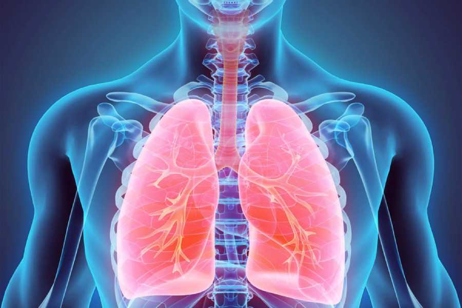 Signs that indicates when you must go for a lungs screened.
