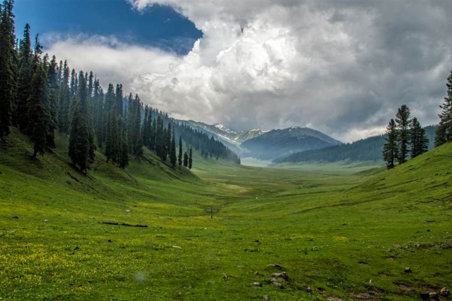 ৩. লোলাব ভ্যালি -   কাশ্মীরের আরেক অপূর্ব সুন্দর অপরিচিত উপত্যকা হল লোলাব। এখানকার আপেল, আখরোট, পিচ, চেরি এবং অর্কিডের বাগান দেখে মন ফুরফুরে হয়ে যায়।   এ ছাড়াও পাহাড়ি হ্রদ, প্রস্রবণ, ধান খেতের দৃশ্যও অসাধারণ।   লোলাব গড়ে উঠেছে কালারুস, পোতনাই এবং ব্রুনাই নামের তিনটে অচেনা উপত্যকার সংমিশ্রণে।   বন্দিপুর থেকে লোলাব উপত্যকাকে পৃথক করেছে অপূর্ব সুন্দর নাগমার্গ তৃণভূমি। এখানকার লাহওয়াই নদীর তীর একটি আকর্ষণীয় স্থান। 
