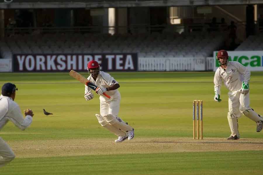 Highest how many runs taken by cricketers in 1 ball