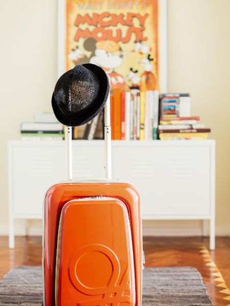 How to clean trolley bags easily at home dgtl