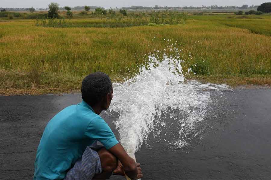 Weather Offcials and Experts suggested farmers of Suri to collect and store their harvest before rainfall starts