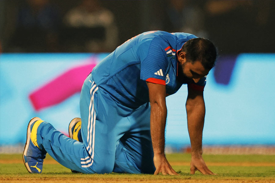 আমরোহা জেলার আলিনগরের সাহসপুরের বুধনপুর রোডের ধারে শামির সেই বাগানবাড়ি রয়েছে।