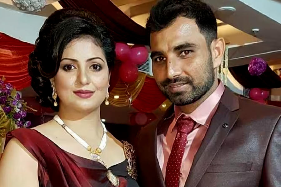 সূত্রের খবর, শামির সঙ্গে তাঁর স্ত্রী হাসিনের গন্ডগোলের সূত্রপাত এই বাগানবাড়ি ঘিরেই। শামির পরিবারের ঘনিষ্ঠ মহল দাবি করেছে, ভবিষ্যতে আলিনগর গ্রামে ক্রিকেট অ্যাকাডেমি খুলতে চান শামি। আর সেই জন্যই প্রায় ১৫ কোটি টাকা খরচ করে ওই ৬০ একর জমি কিনেছিলেন তিনি।