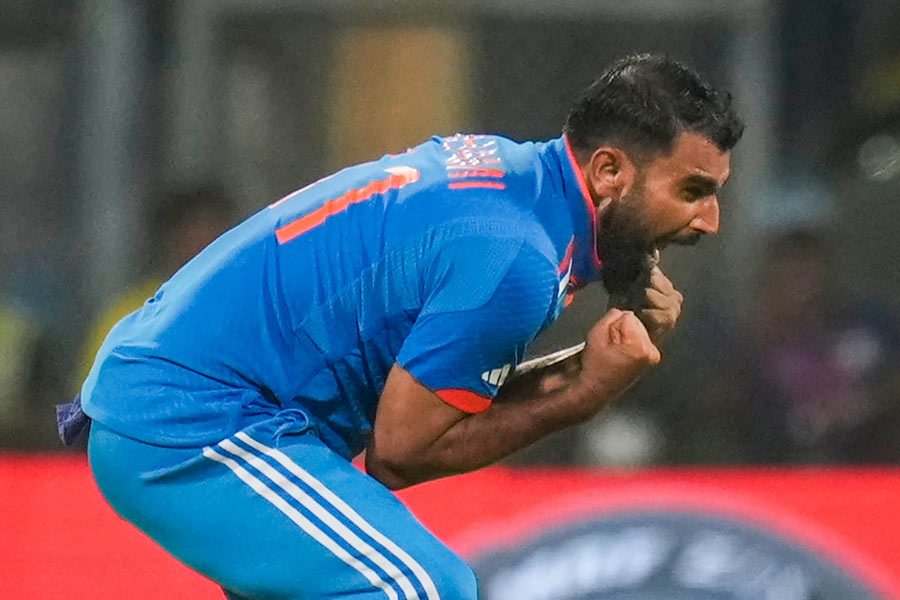 বিশ্বকাপে ৫০ উইকেট নেওয়া প্রথম ভারতীয় বোলার হয়েছেন শামি। বিশ্বকাপে সব থেকে কম ম্যাচে (১৭) এই কীর্তি করেছেন তিনি। প্রথম ভারতীয় বোলার হিসাবে বিশ্বকাপের নক আউটে পাঁচ উইকেট নিয়েছেন শামি।