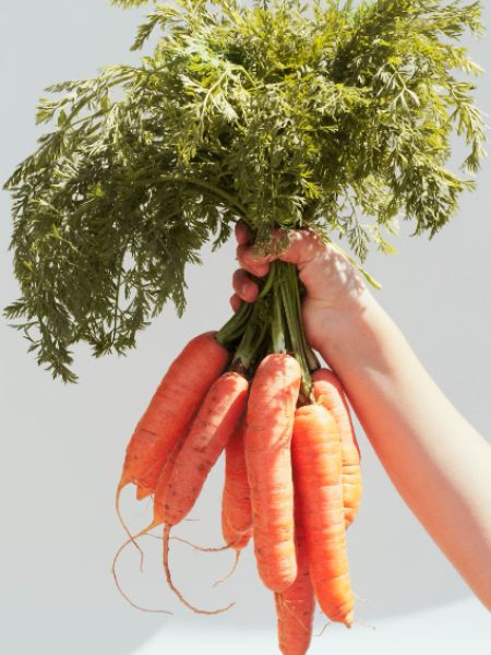 from constipation to cancer carrots are very beneficial for your health dgtl