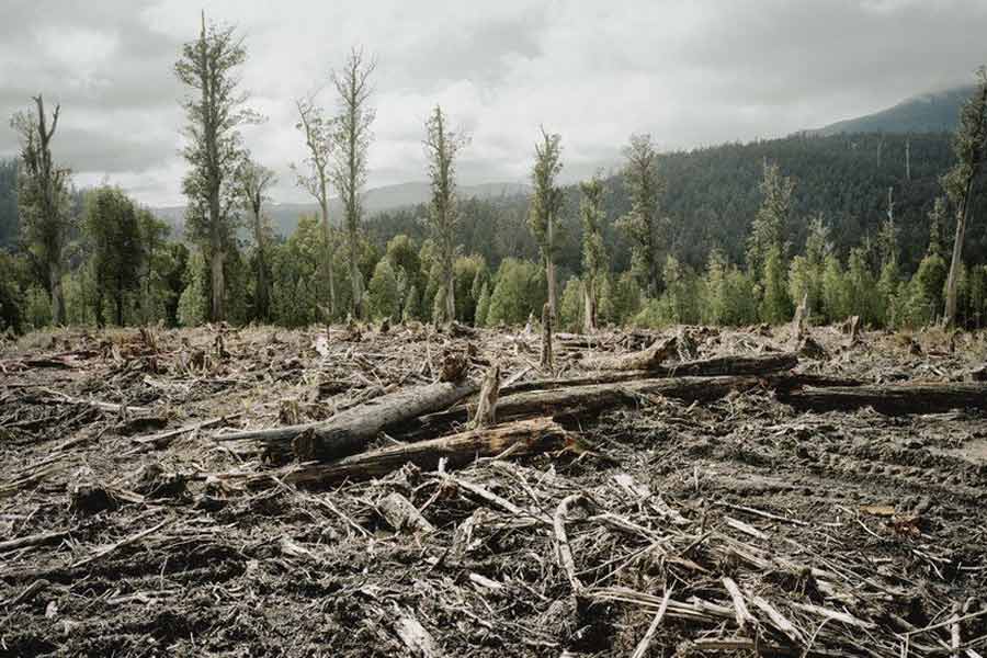 Oxygen level may drop as scientists predict end of Earth