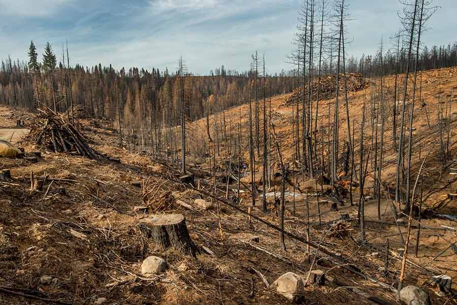 Oxygen level may drop as scientists predict end of Earth