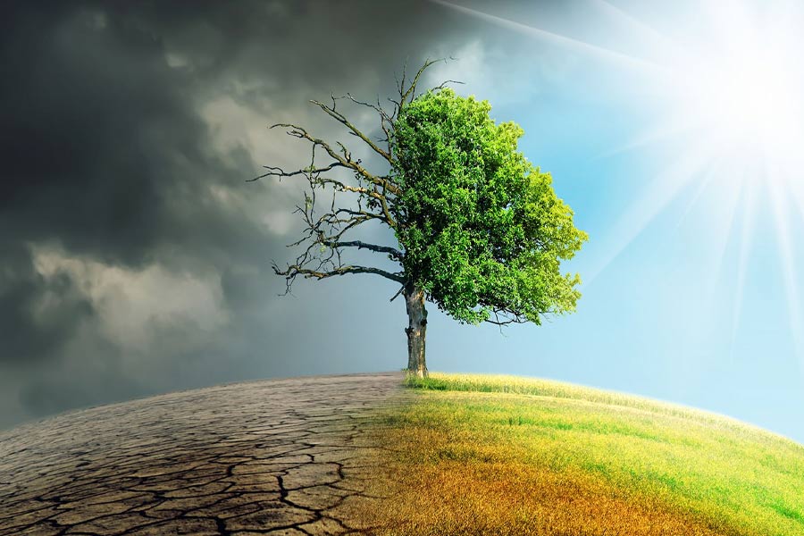 Oxygen level may drop as scientists predict end of Earth