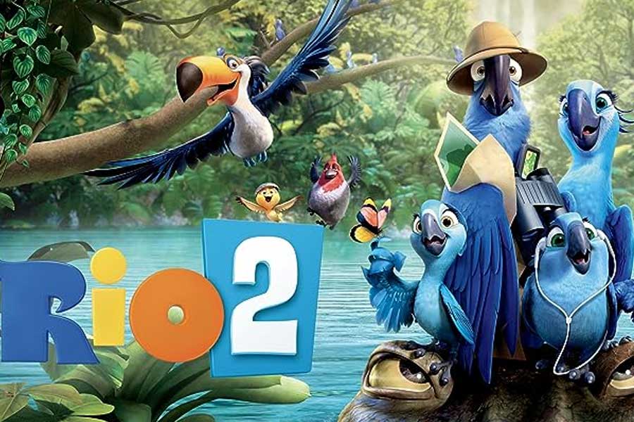 ২০১৪ সালে প্রেক্ষাগৃহে মুক্তি পায় অ্যানিমেশন ঘরানার ছবি ‘রিও ২’। এই ছবিতে জুয়েল চরিত্রে নেপথ্য কণ্ঠশিল্পী হিসাবে ছিলেন অ্যান হ্যাথওয়ে।