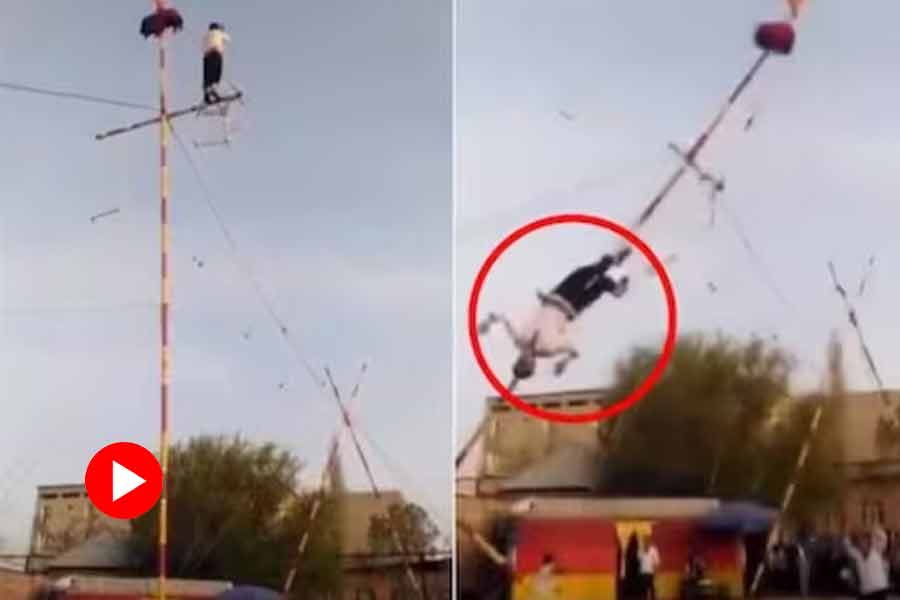 Viral video of Trapeze artist fall from pole while performing