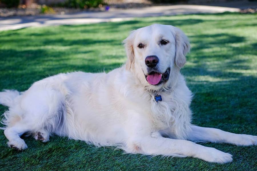 জেসিকা জানিয়েছিলেন, আগুনে পুড়ে মৃত্যু হয় ডেইজ়ির সাত সন্তানের। তার পর থেকে নাকি মানসিক ভাবে সম্পূর্ণ ভেঙে পড়ে ডেইজ়ি।