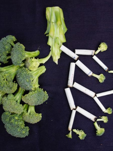 Seven healthy habits for winter to protect lungs infection dgtl