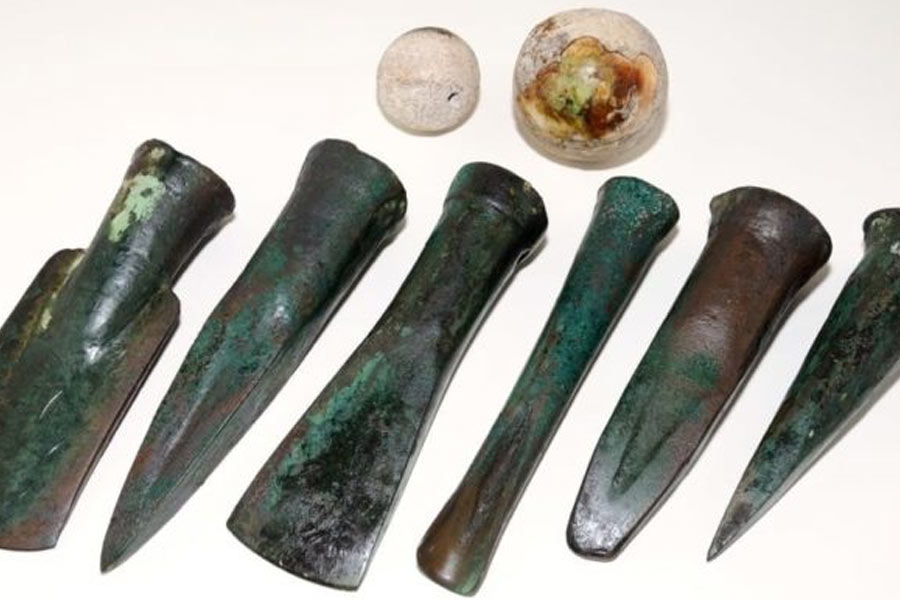 তবে এই সভ্যতায় পশুজাত পণ্যের পেশাও প্রচলিত ছিল। সমাজে উচ্চ-নীচ ভাগও ছিল। ধাতু শিল্পের পেশায় যাঁরা ছিলেন, তাঁদের স্বাভাবিক নিয়মেই সমাজের অভিজাত স্তরে উত্থান হয়েছিল।