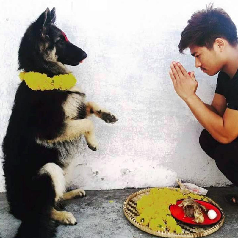 ২০১৫ সালে নেপালে ভূমিকম্প হওয়ার পর অনাথ চারপেয়েদের নিয়ে সচেতনতা বৃদ্ধি করতে ‘কুকুর তেওহর’ পালন করা হয়েছিল।