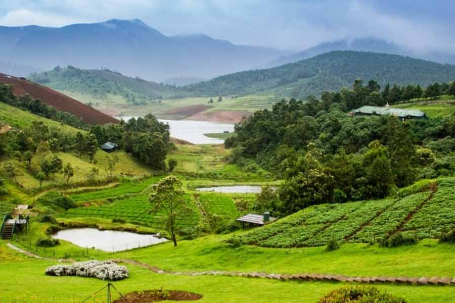 Image og Ooty