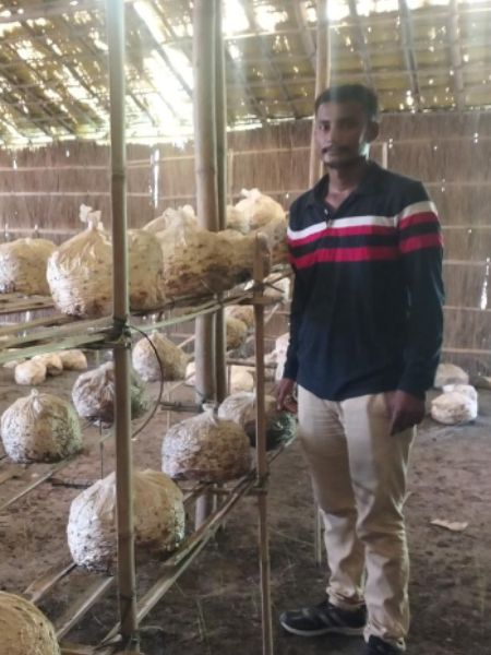 22 year old boy from Bihar is earning lakhs from mushroom and capsicum farming and get huge success in agricultural business dgtl